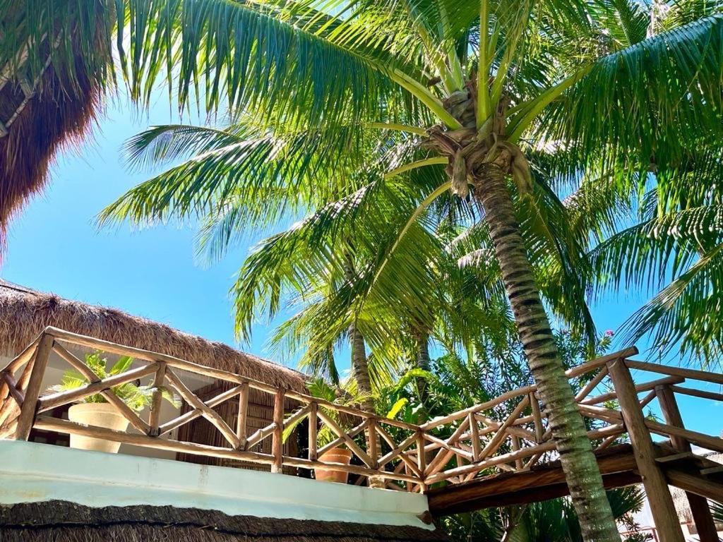 Casa Tom Tom - Adults Only Bed & Breakfast Isla Holbox Luaran gambar