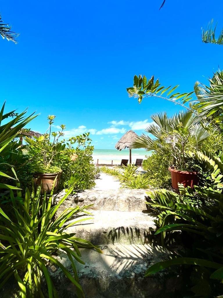 Casa Tom Tom - Adults Only Bed & Breakfast Isla Holbox Luaran gambar